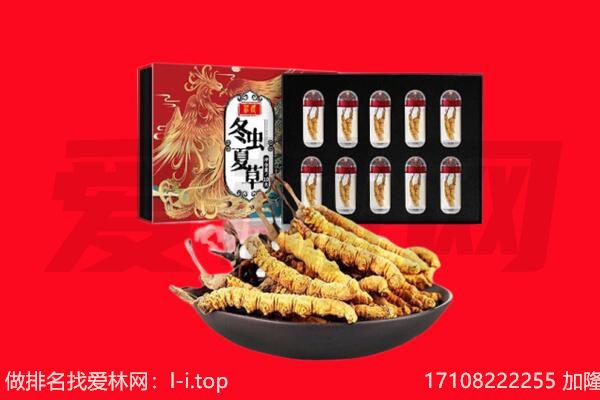 铜仁松桃县回收虫草.jpg